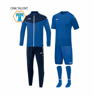 Slika DNK Talent PAKET 02