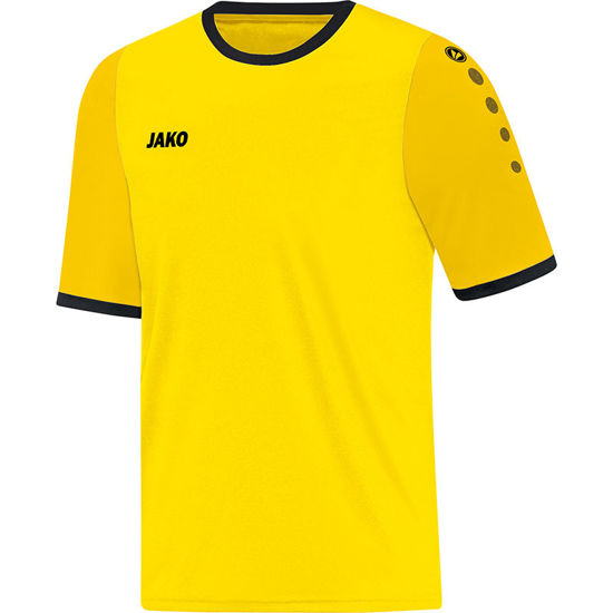 Slika LEEDS dres KR