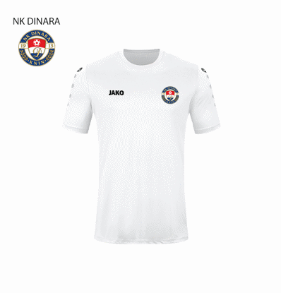 Slika NK DINARA TEAM dres