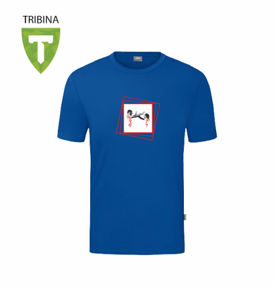 Slika TRIBINA by Vlado Šagadin