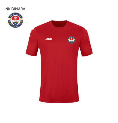 Slika NK DINARA TEAM dres